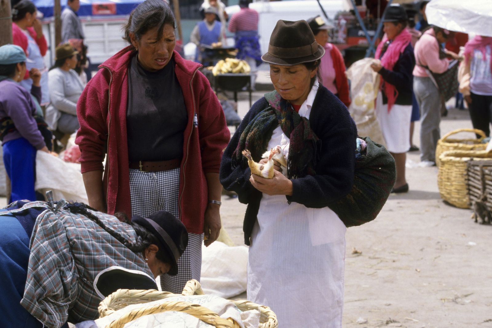 Auf einem Markt in Ecuador werden Meerschweinchen für den Verzehr verkauft.