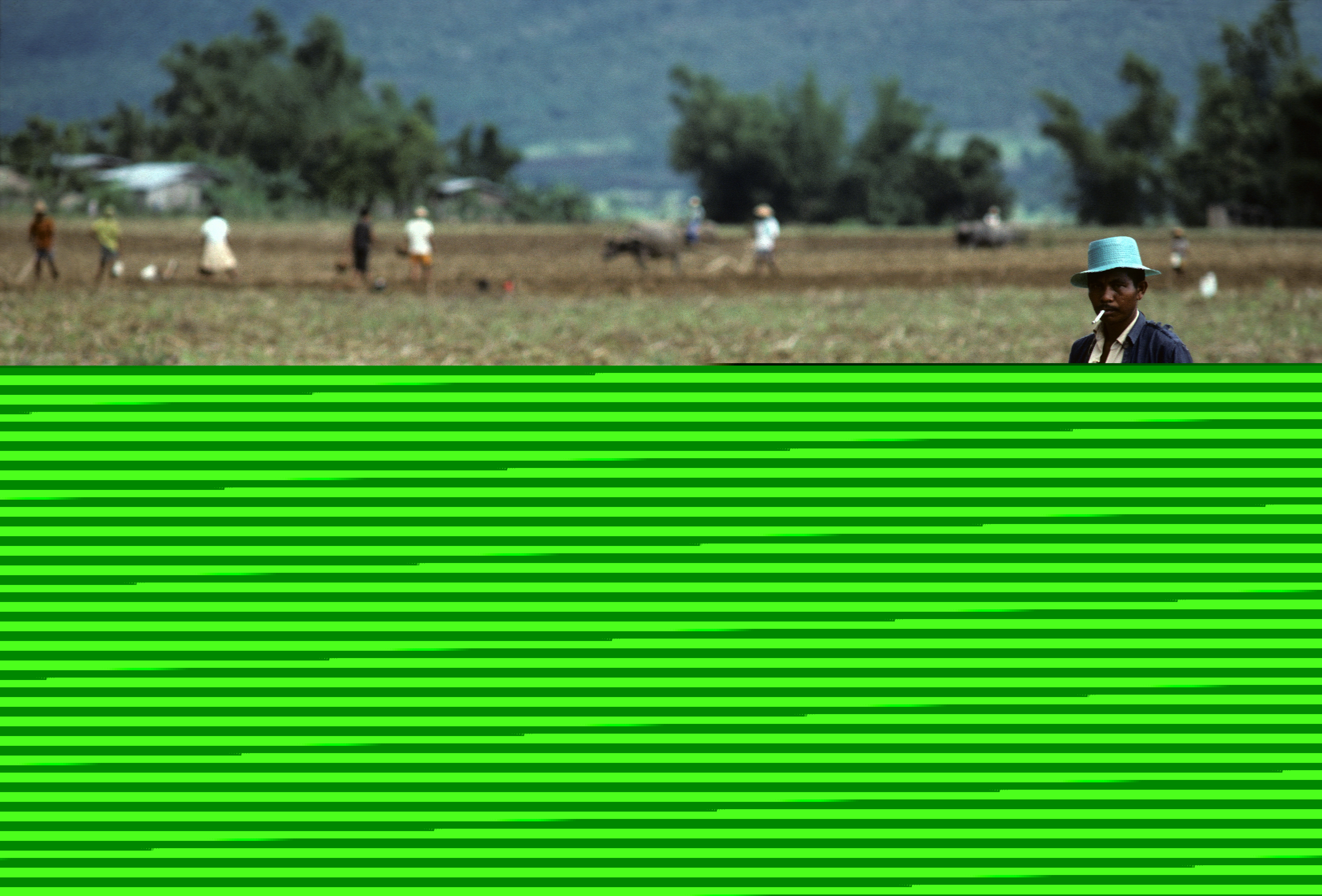 Heldur Netocny/Lineair A Philippine farmer tills a field in Cagayan province.
