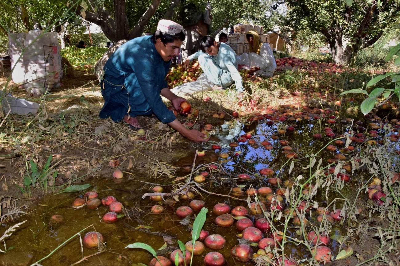Climate impacts compound Pakistan’s pre-existing problems