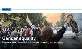 E+Z/D+C Overview gender equality