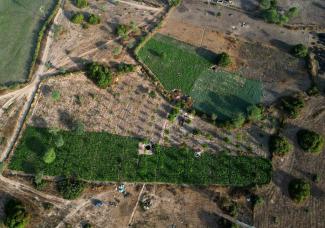 Landownership tends to be insecure: smallholder fields in Senegal. 