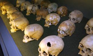 pLangenstrassen/dpa/picture-alliance Thakur: "In Rwanda in 1994, a robust mandate would have helped." Skulls in the genocide memorial in Kigali.