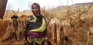 Viehhalterin im von Dürre geplagten Äthiopien.
