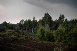Farmers work on their land near the Volcanoes National Park in Rwanda. Demand for agricultural land impacts Africa’s biodiversity.