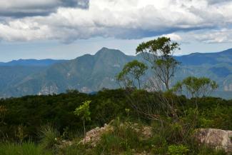 Ivan Sarabia Rodríguez View of the Serranía del Iñao protected area in the Andes.