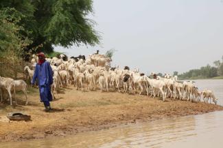 In the Senegal River delta, traditional rules coexist with formal laws. 