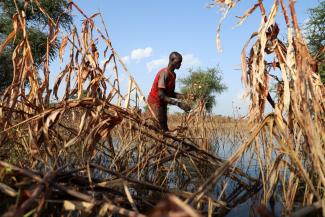 The climate crisis leads to more severe weather events like flooding, destroying harvests worldwide.