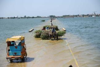 Flooded rural road in Sindh Province in September 2022. 