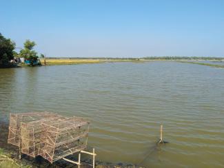 Cage for breeding fish. 