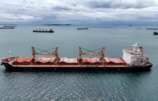 Restricted trade means higher prices: grain ship from Ukraine near Istanbul. 