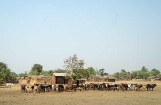 Processing cow’s milk locally can create jobs.