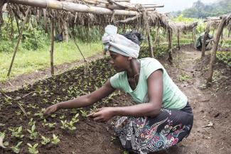 Globale Ernährungssicherheit braucht kleinbäuerliches Wissen: Landwirtin in Äthiopien.