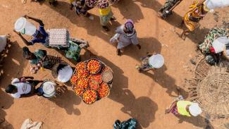 picture alliance/Hans Lucas/Pool Union Europeenne/Agence Hans Lucas Transporting goods in Cotonou, Benin.