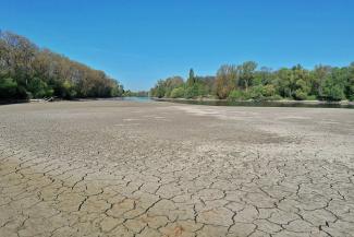 picture alliance/Daniel Kubirski/Daniel Kubirski The climate crisis makes extreme weather events such as droughts more likely, including in the Global North: branch of the Rhine, Germany’s largest river, in April.