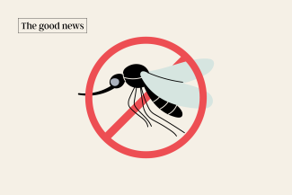 The life-threatening tropical disease malaria is transmitted by the Anopheles mosquito.