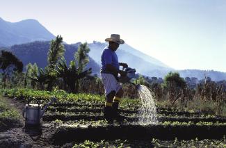 Landwirt in Guatemala: Viele Kleinbauern ernähren sich von ihren eigenen Produkten, was vom BIP nicht erfasst wird, weil kein Geld fließt.