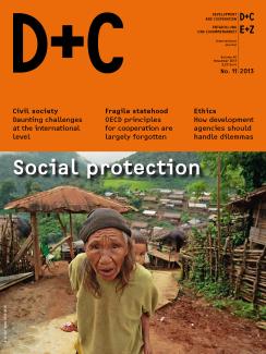 D+C/E+Z 2013/11 Social protection