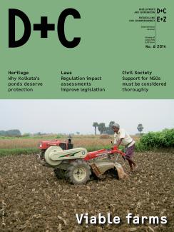 D+C/E+Z Viable farms
