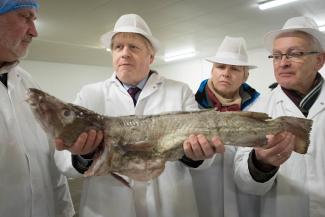 Impression management: this rather fishy prime minister loves to dress up, but never takes off his tie.