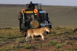 Photo safari in Kenya’s Masai Mara National Park: tourism has collapsed because of the pandemic.