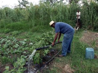 Sambischer Bauer bewässert ein Feld.