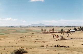 In Ethiopia, all land officially belongs to the government.