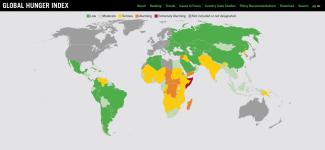 Welthunger-Index 2021 nach Schweregrad.