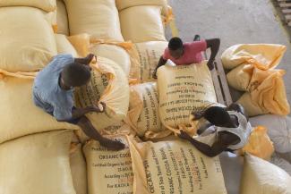 Preparing a shipment of fair-trade cocoa from São Tomé and Principe to France.