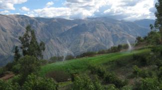 Water issues get more international attention than soil issues – irrigated Peruvian smallholding.
