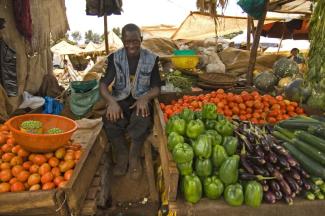 Frisches Gemüse für Städter – damit lässt sich Geld verdienen, zum Beispiel in Nairobi.