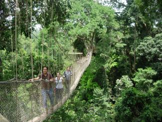 Touristen im Kakum-Nationalpark in Ghana.