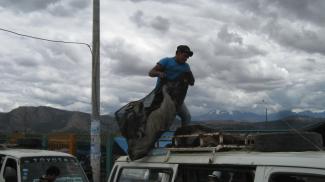 Migration verläuft typischerweise innerhalb von Nationalstaaten über kurze Zeit und  kurze Distanzen: Geflügellieferung für einen ländlichen Markt in den peruanischen Anden.