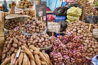 The potato is an ancient crop from South America. Market stand in Arequipa, Peru.