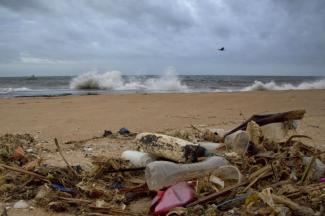 The ocean is being threatened not only by plastic waste, but also by the less visible nitrogen and phosphorus. Beach in Sri Lanka.
