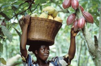 Kakaoexporte unterliegen separaten Interimsabkommen.