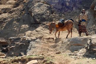 Food security is particularly at risk in East Africa’s mountainous regions – women in Kenya’s Machakos region are affected.