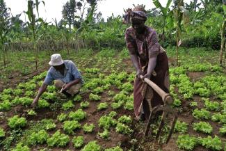 Junge Leute in Deutschland sollen erfahren, wie Landwirtschaft in Tansania betrieben wird.