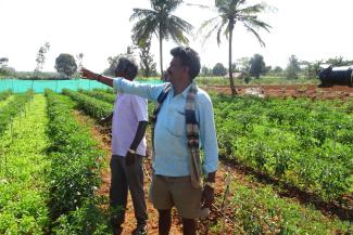 Rakash Chinappa (in front) is one of several 100,000 organic farmers in the Indian state of Karnataka.
