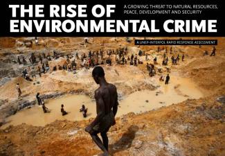UNEP and Interpol report: The rise of environmental crime.