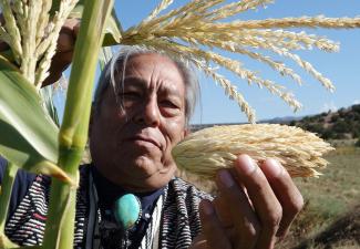 Stammesältester und Samenretter Louie Hena im Tesuque Pueblo mit dem „Mutter-Mais“ in der Hand, Vorfahrin der von ihm angebauten Maissorten.