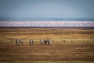Serengeti National Park in Tanzania is one of the largest conservation areas in the world.