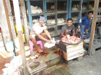 Retail poultry shop in Kolkata.