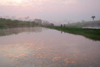 Fish breeding ponds in Brazil: Aqua­culture has been spreading here since the 1990s.