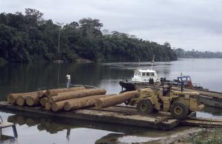Internationale Holzkonzerne profitieren vom Raubbau an den Wäldern: Baumstämme auf dem Kouilou im Westen der DR Kongo.