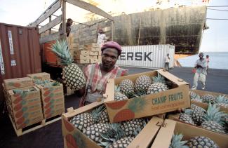 „Die armen Entwicklungsländer spürten die Effekte der Krise vor allem über den Rückgang ihrer Exporterlöse“: Ananas­export in Ghana.