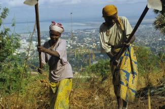 Großes Misstrauen erschwert kollektives Handeln: burundische Bäuerinnen.