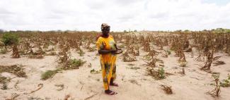 picture alliance / Xinhua News Agency / Dong Jianghui Drought in Kenya, March 2022.
