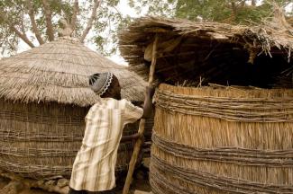 Traditional maize storage in Kano State, Nigeria.