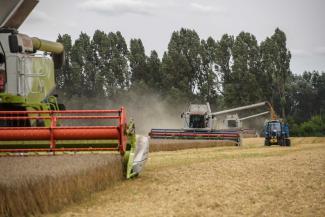Wheat harvest in the Kyiv region in August 2022 during Russia’s war of aggression against Ukraine.