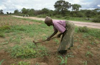 Many farmers use very simple technology.